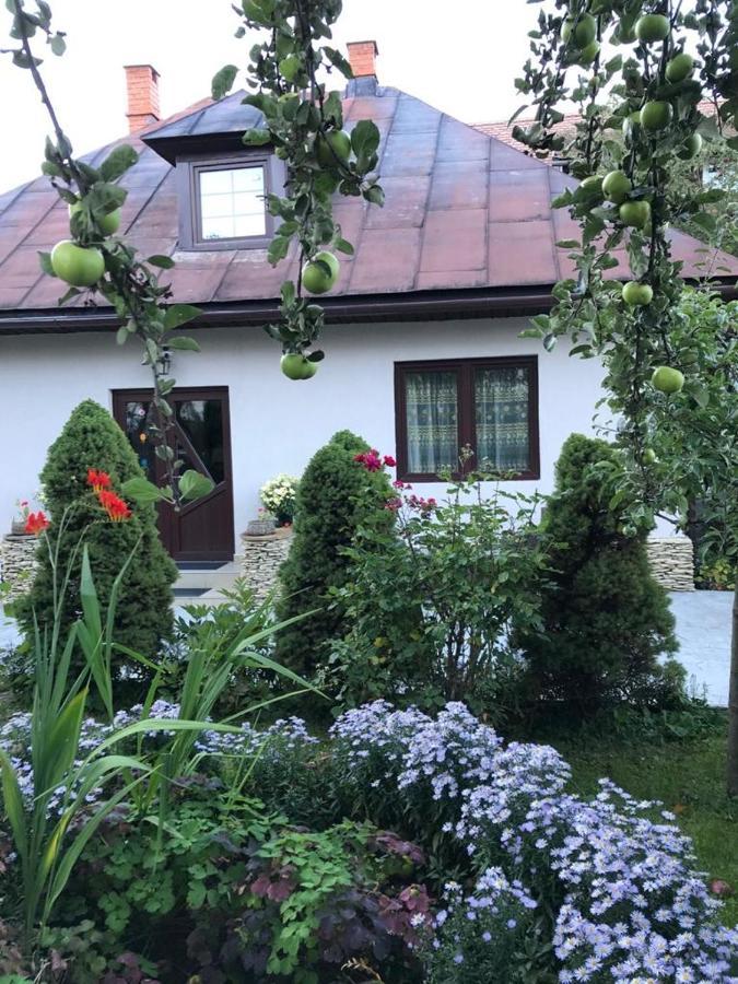 Casa Maria Villa Bran  Exteriör bild
