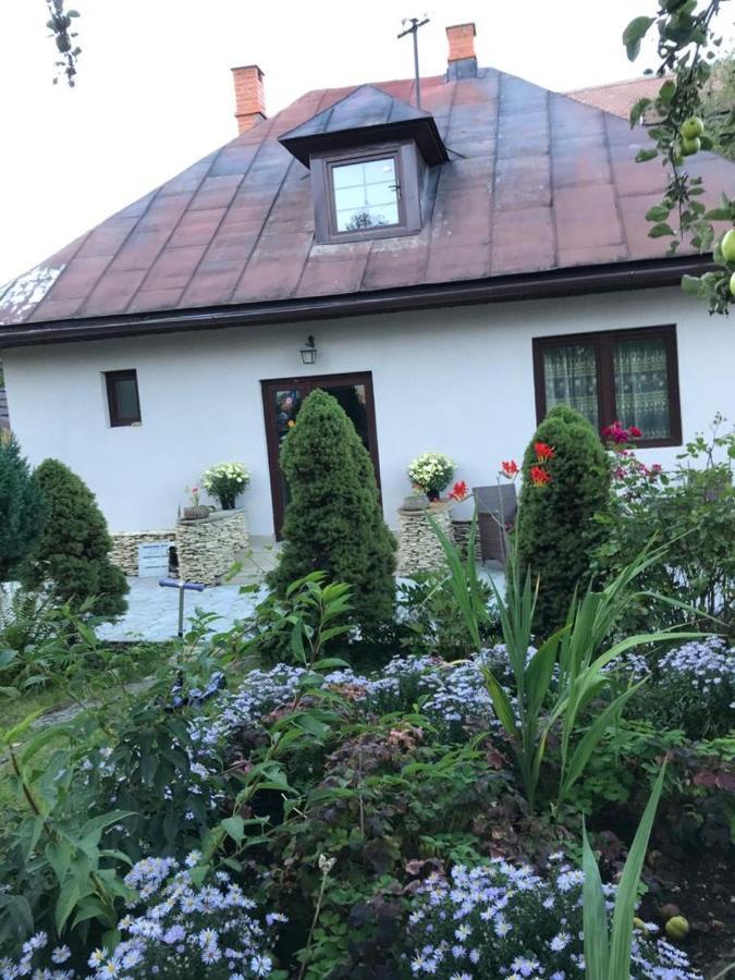 Casa Maria Villa Bran  Exteriör bild