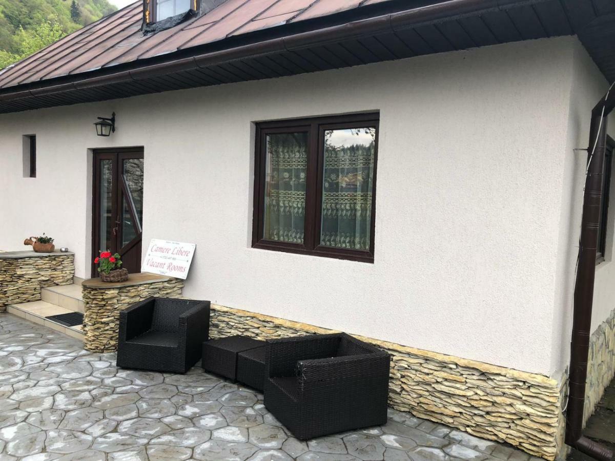 Casa Maria Villa Bran  Exteriör bild