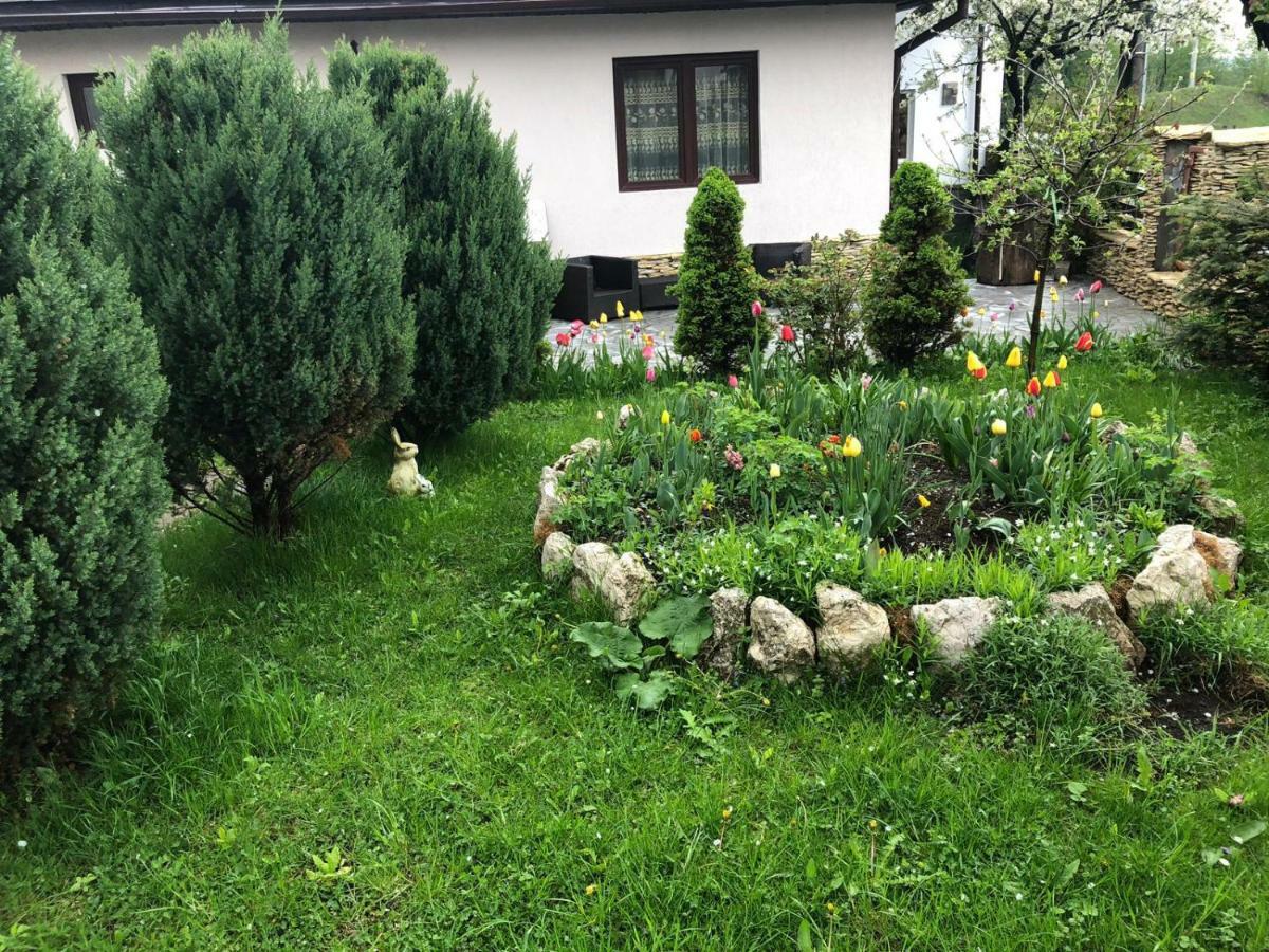 Casa Maria Villa Bran  Exteriör bild